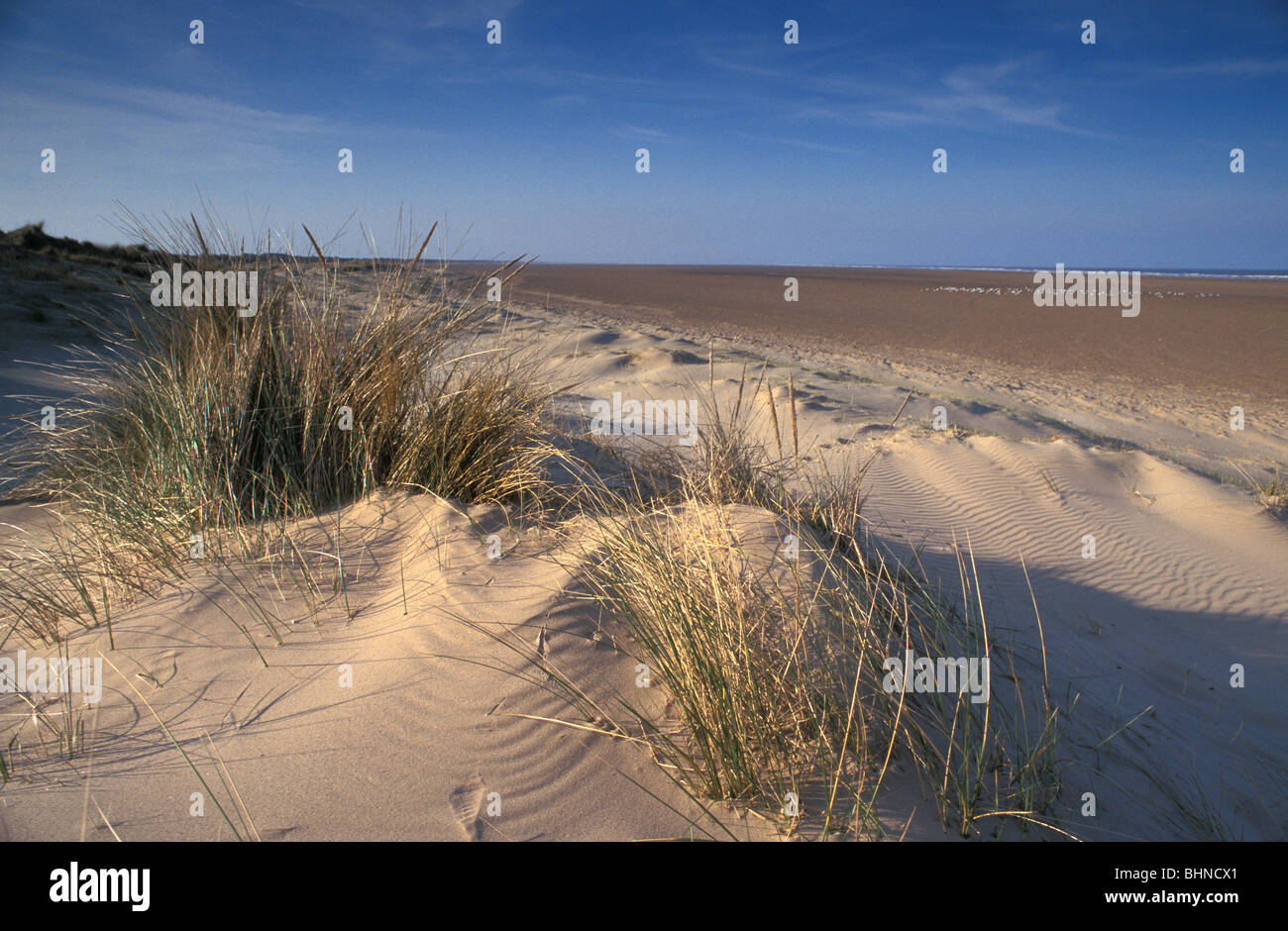 44+ Saltfleetby theddlethorpe dunes national nature reserve