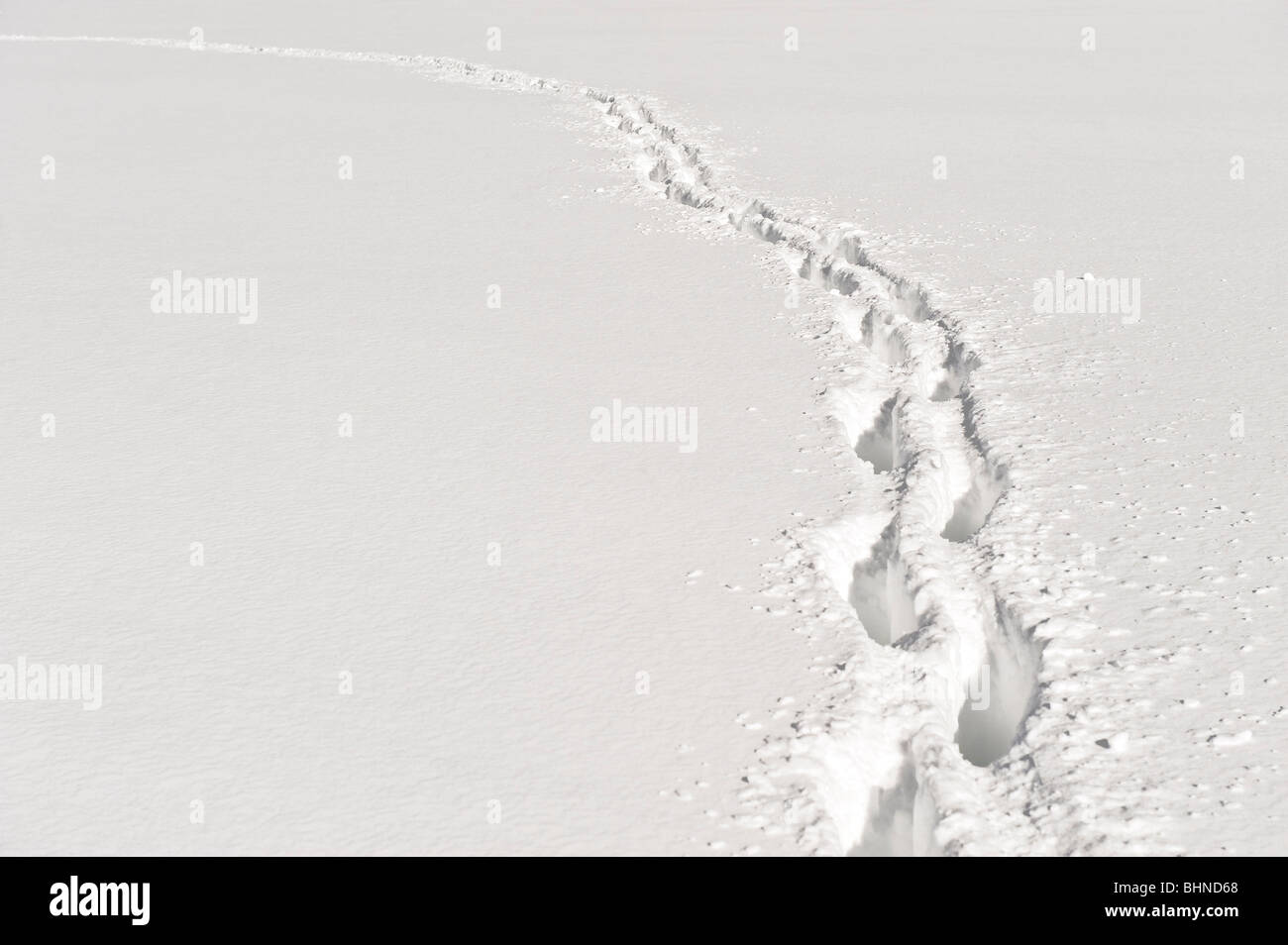 Foot path through deep snow. Stock Photo