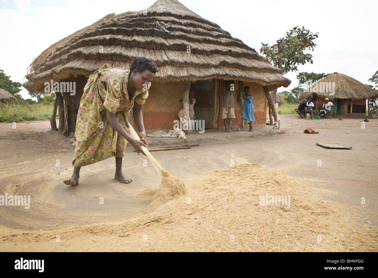 Woman sweeping outside her house - Amuria District, Teso Subregion, Uganda, East Africa Stock Photo