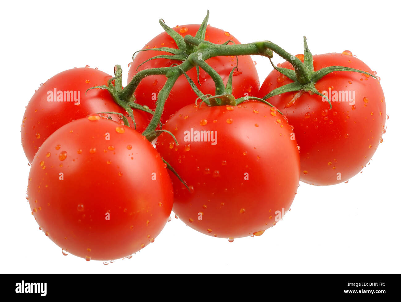 Tomatoes isolated on a white background covered by drops of water Stock ...