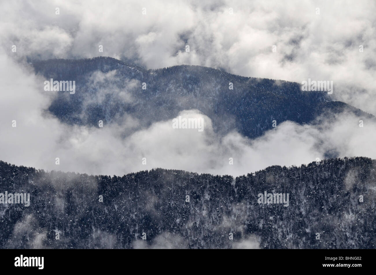 Forested ridges and cloud from Baisse de la Crouseta, Mercantour Alps, France Stock Photo