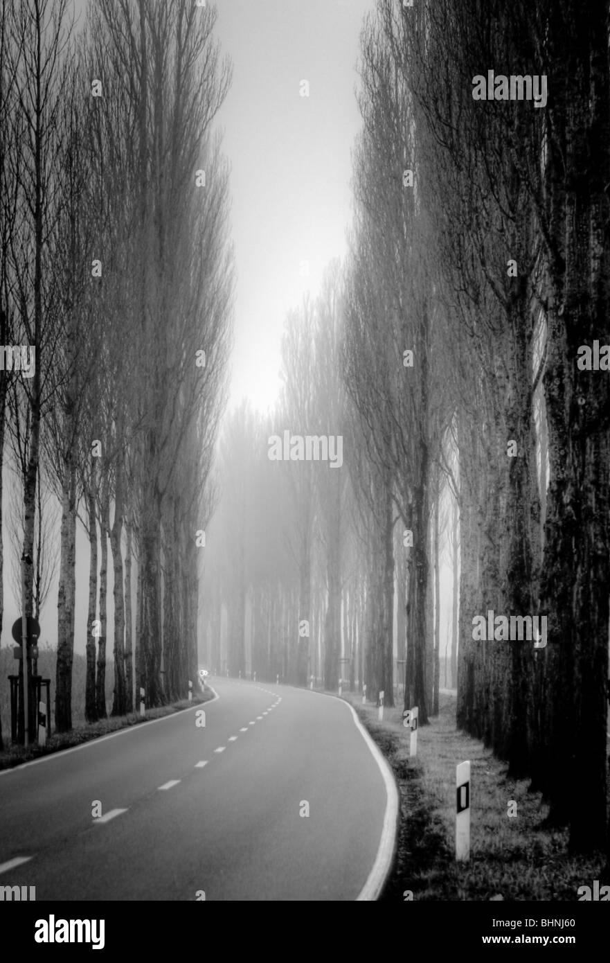 black and white image of an alley Stock Photo