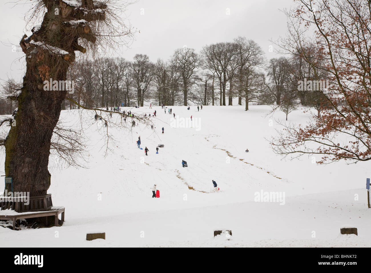 People sledging near chatswroth Stock Photo