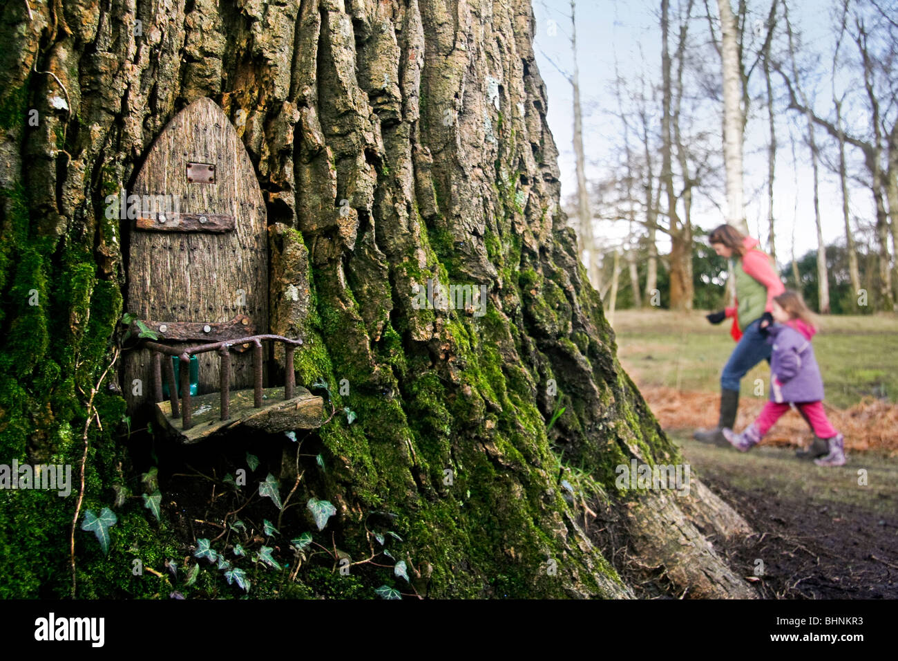 A Fairy Door In A Magical Woodland Tree Stock Photo 28136055 Alamy
