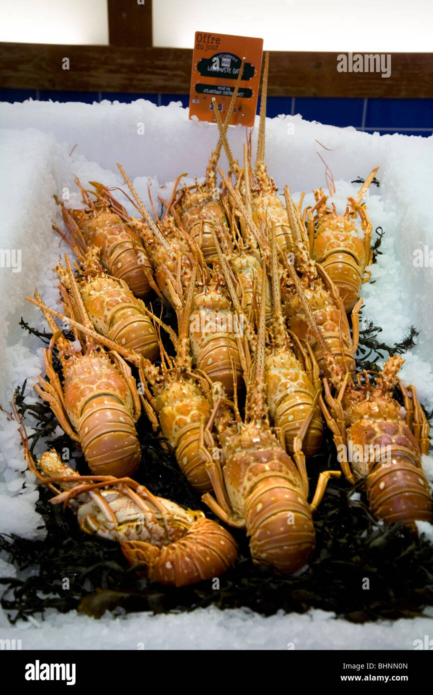 Display of Langoustines – on ice – for sale in a French supermarket. Stock Photo