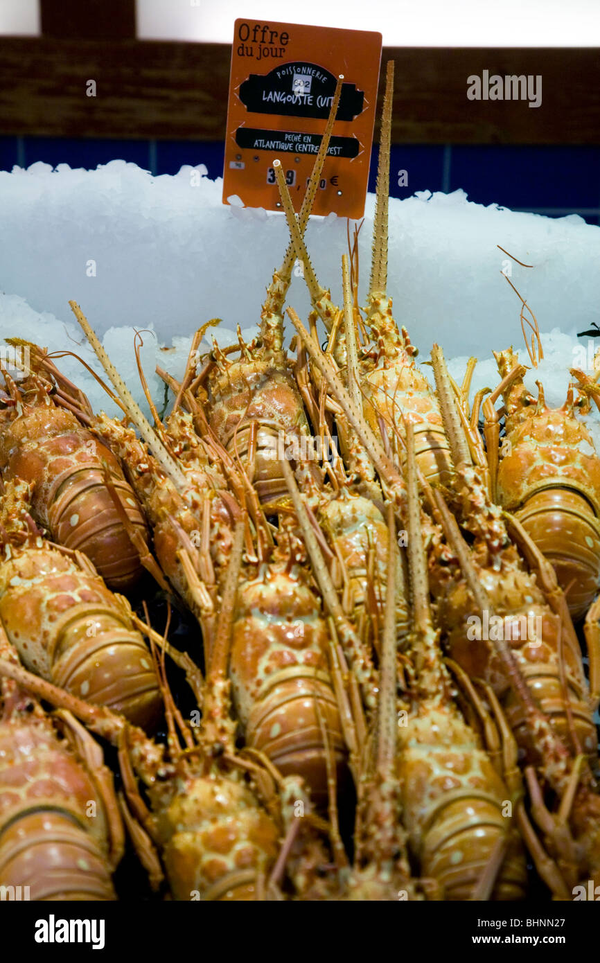 Display of Langoustines – on ice – for sale in a French supermarket. Stock Photo