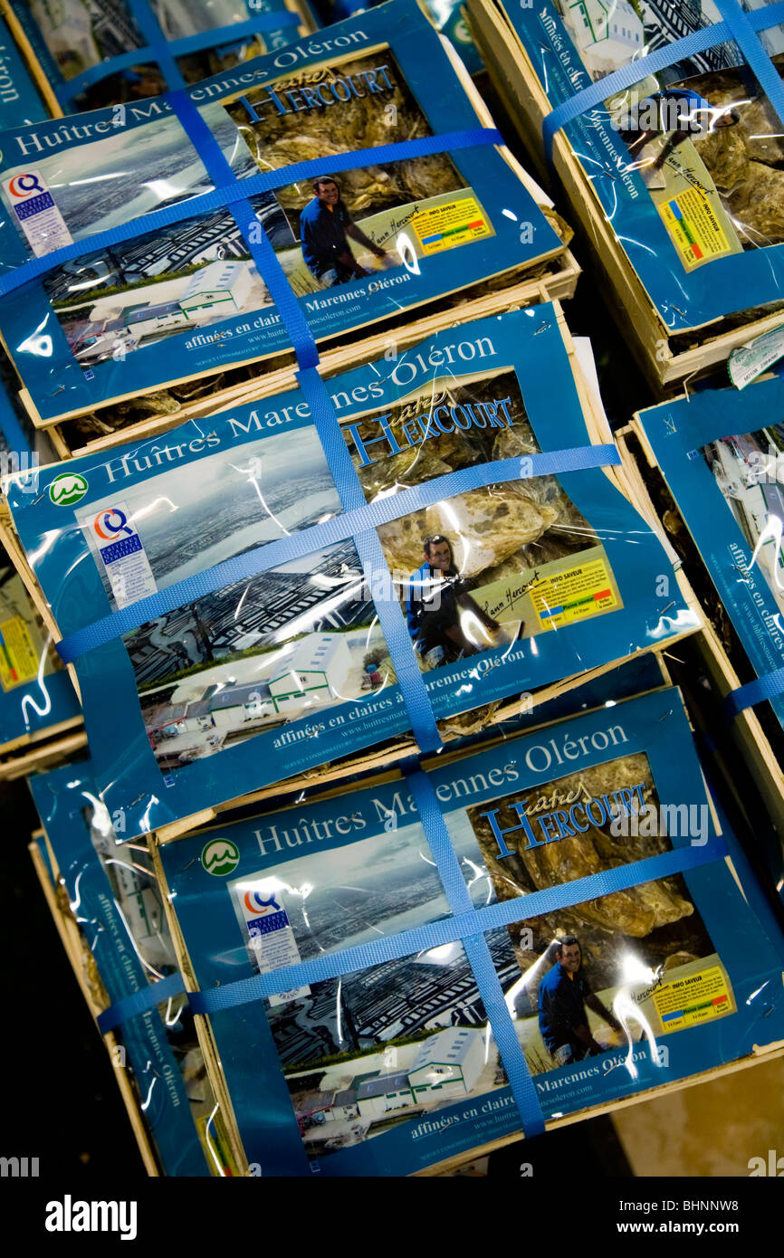 Boxes of oysters / oyster box for sale in a French supermarket. Stock Photo