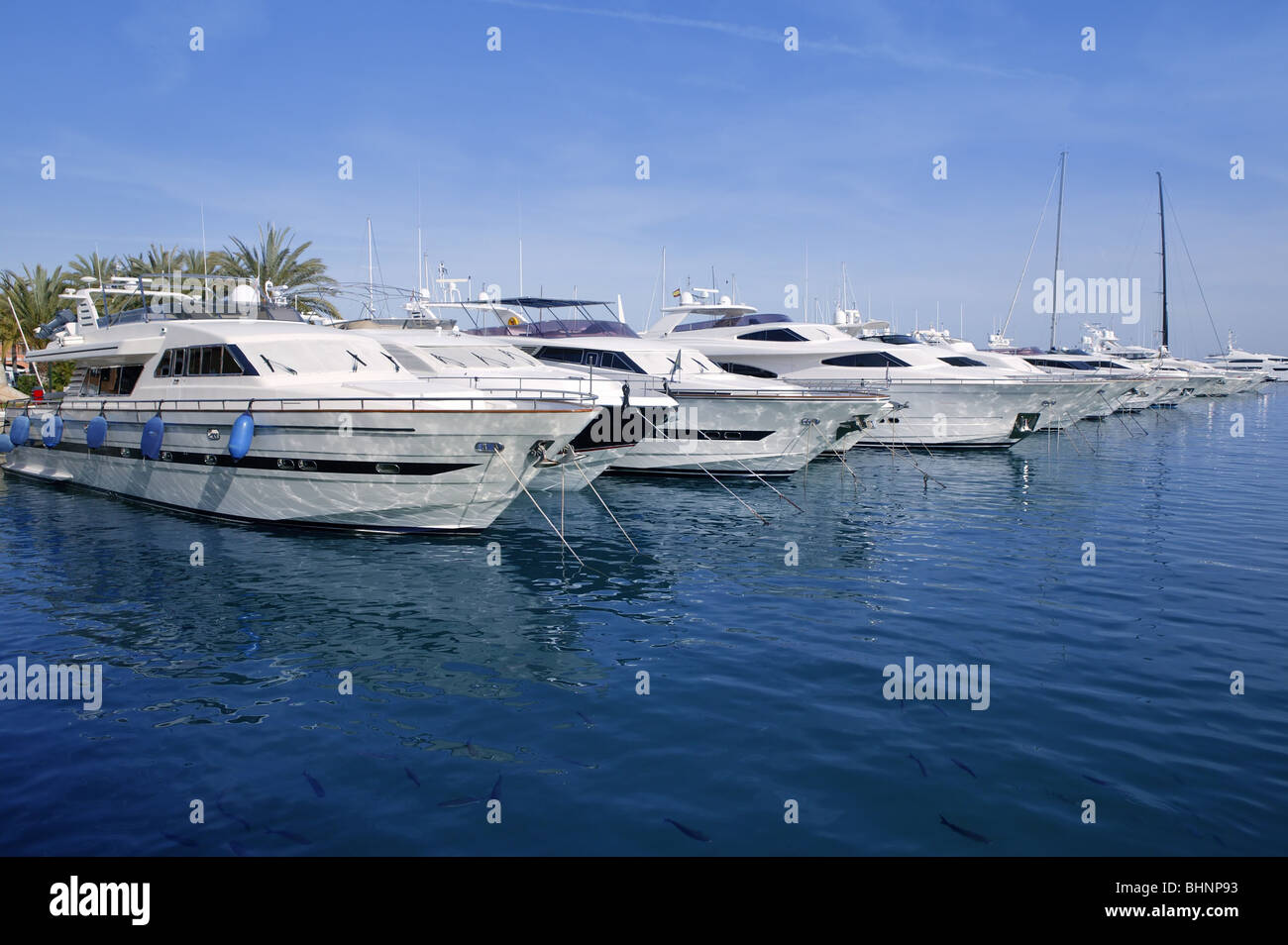 Mallorca Puerto Portals port marina yachts in Spain Stock Photo Alamy