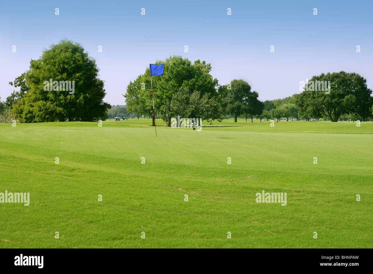 Beautiful Golf green grass sport field in Houston Texas Stock Photo Alamy