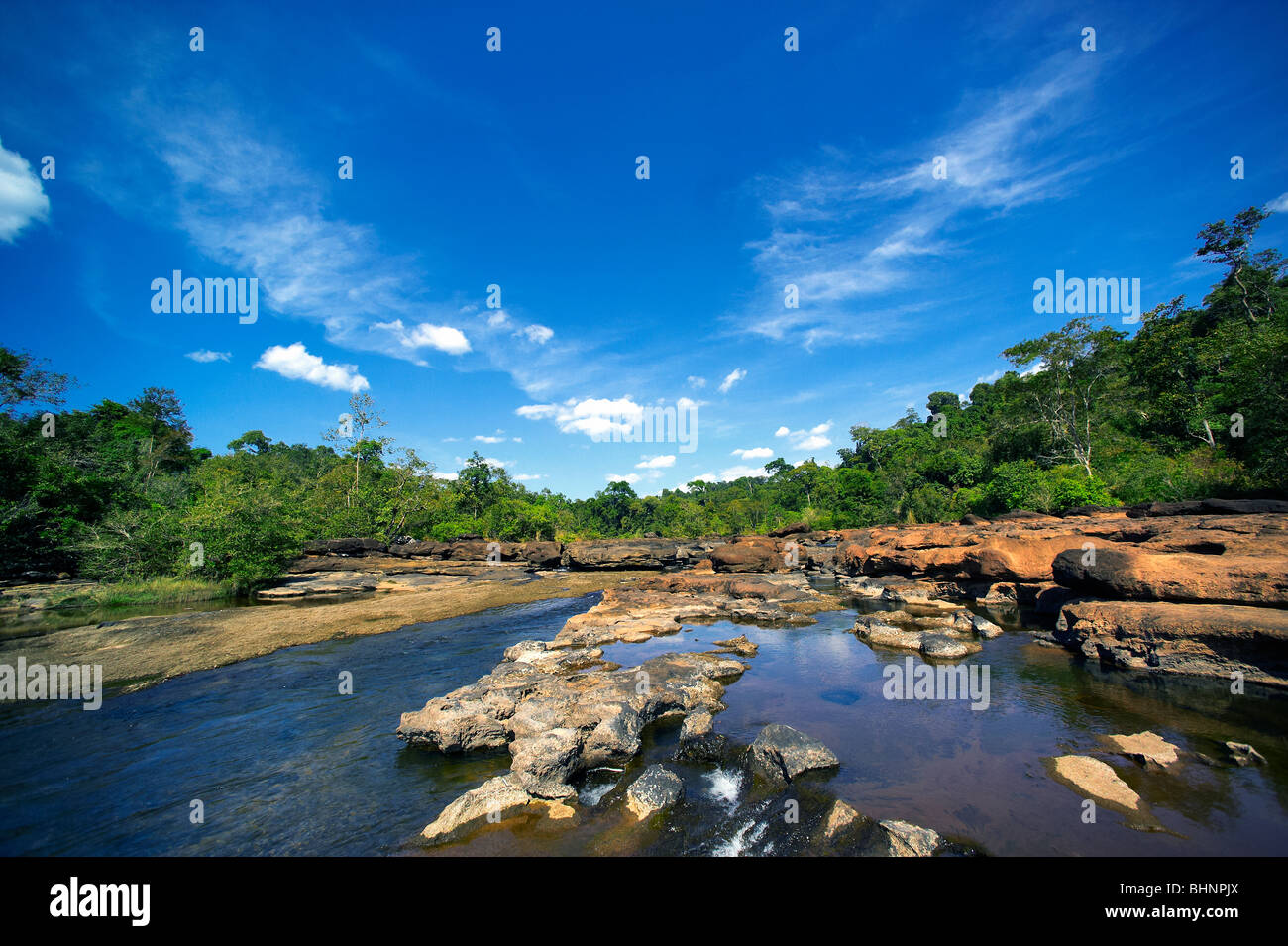 Flora fauna map of asia hi-res stock photography and images - Alamy
