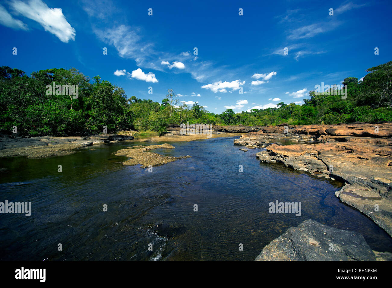 Flora fauna map of asia hi-res stock photography and images - Alamy
