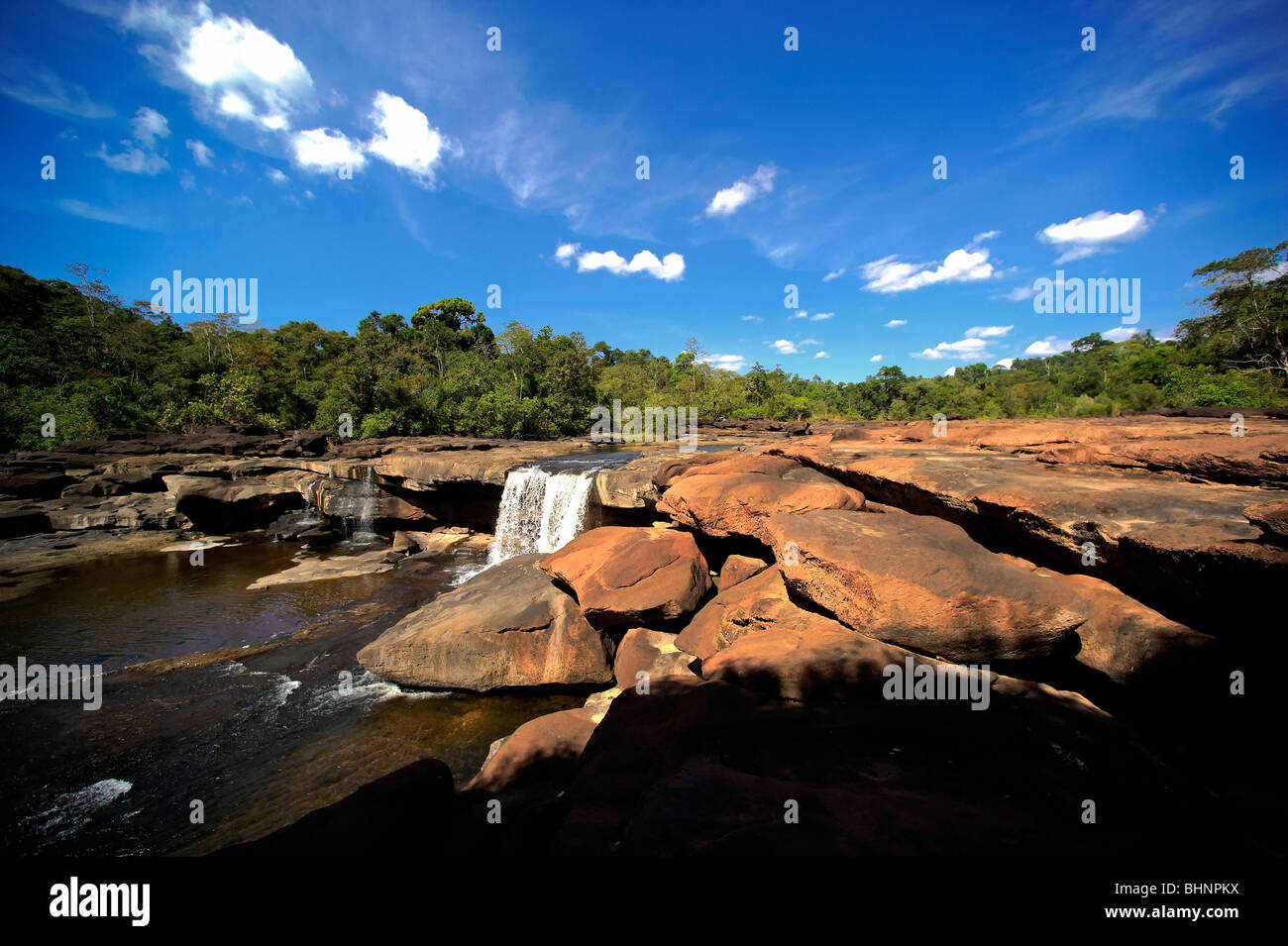 Flora fauna map of asia hi-res stock photography and images - Alamy
