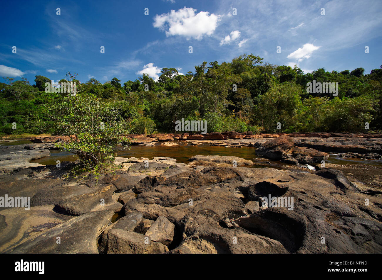 Flora fauna map of asia hi-res stock photography and images - Alamy