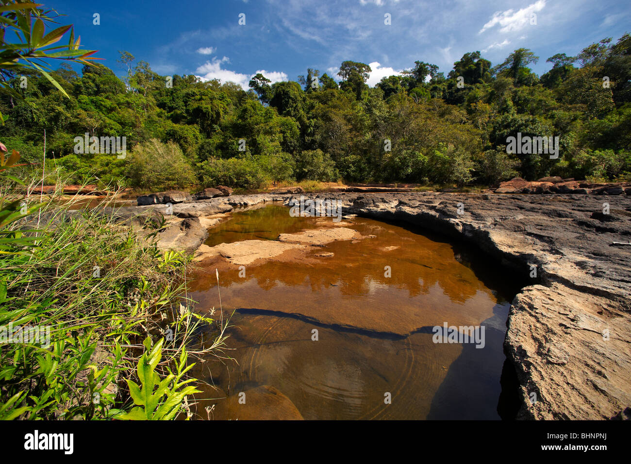 Flora fauna map of asia hi-res stock photography and images - Alamy