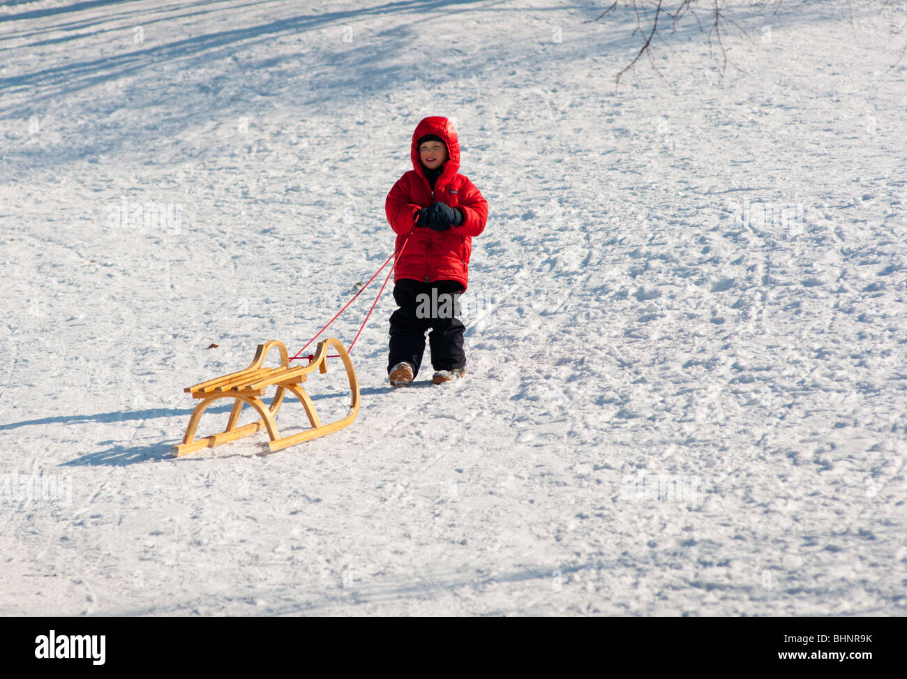 Boy and his sledge Stock Photo