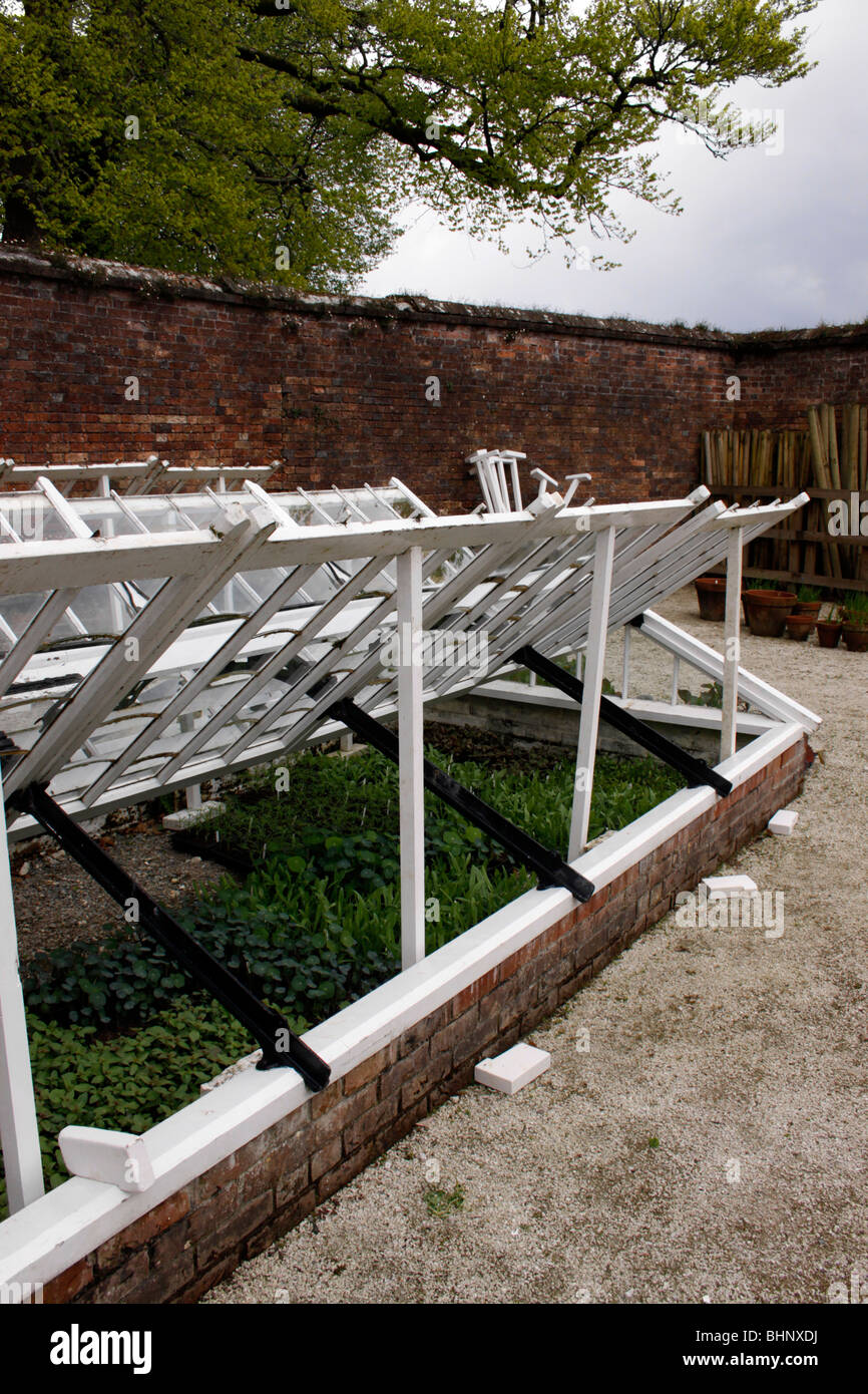 GARDEN COLD FRAMES IN SPRING WITH SEEDLINGS AND YOUNG PLANTS GROWING ON. Stock Photo
