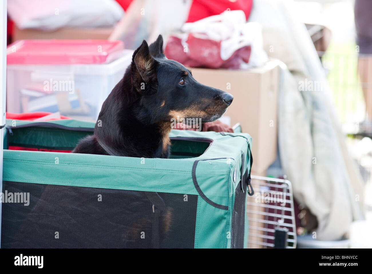 Beaucheron hires stock photography and images Alamy