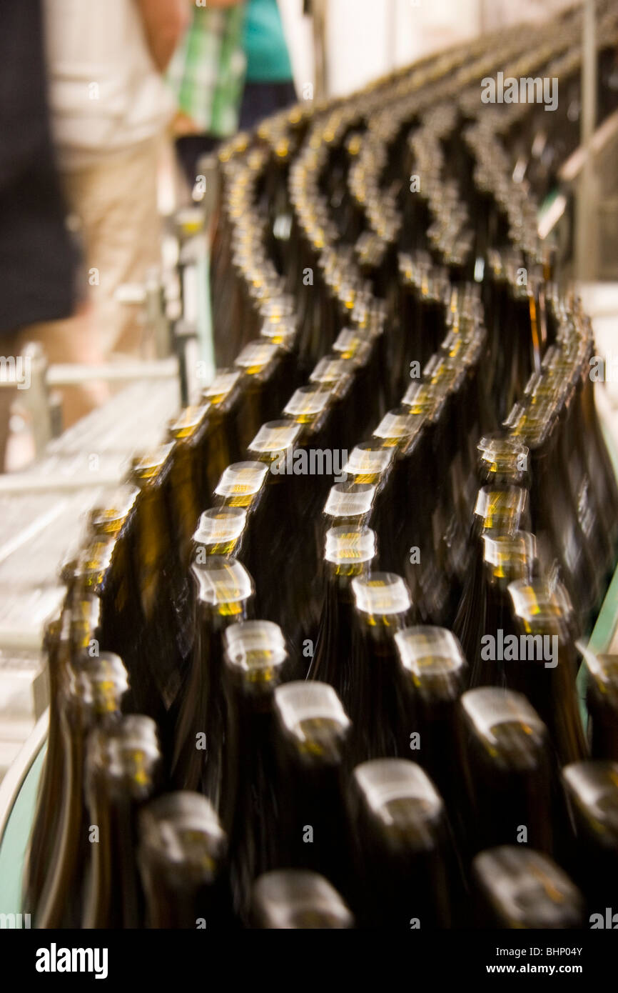 Bottled beers on a brewery conveyor belt Stock Photo