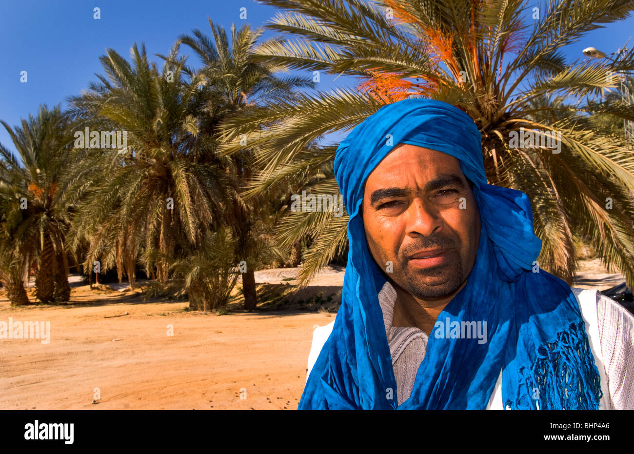 Arab Man Tree Arab man with turban in oasis Town with plam trees of Chebika near ...