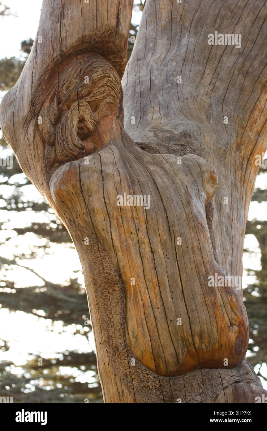 Woman sculpture on a tree by Roudy Rahmeh Lebanon Middle East Stock Photo