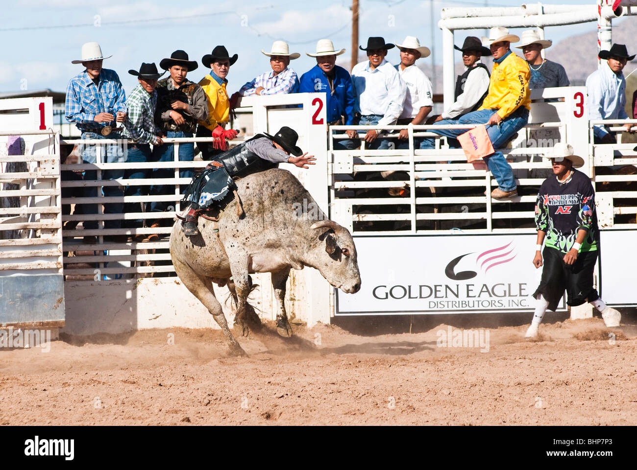 a cowboy competes in the bull riding event during the O'Odham Tash all ...