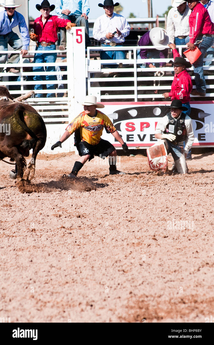 a cowboy competes in the bull riding event during the O'Odham Tash all ...