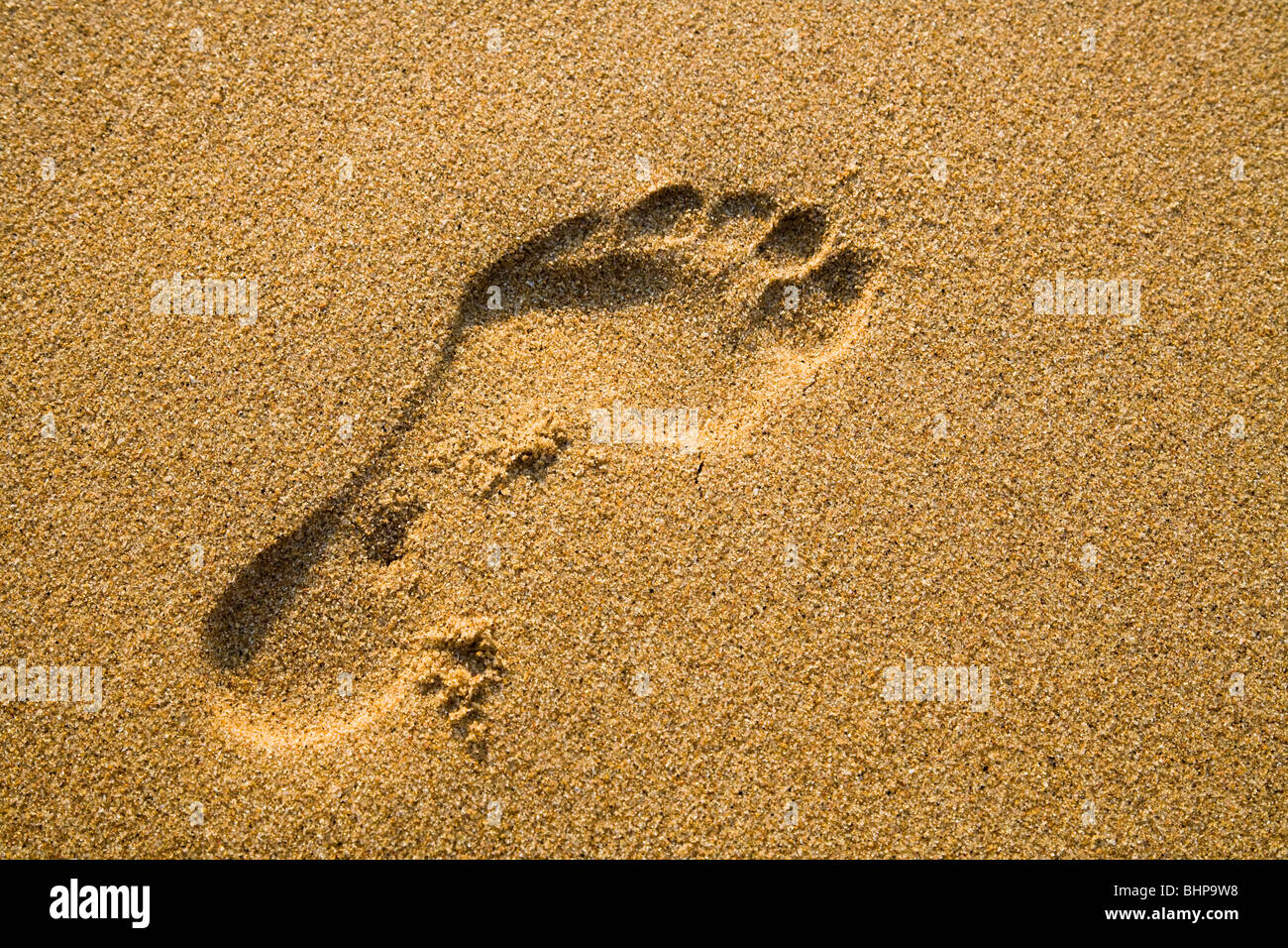 Footstep in the sand Stock Photo