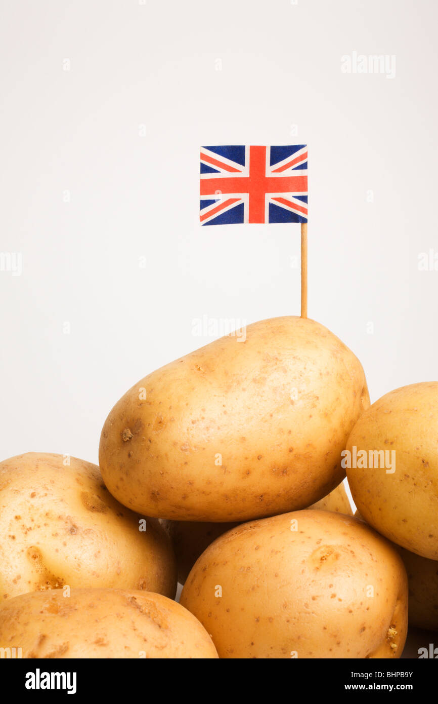 British White Potatoes. Stock Photo