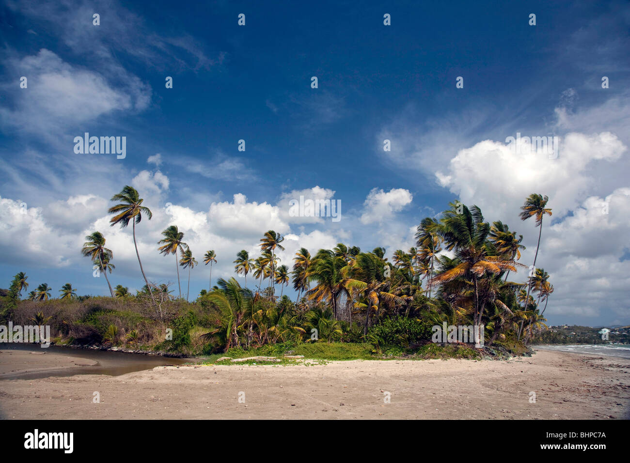A breeze blowing the palm trees with a sandy beach in the foreground a small creek entering the sea from the right Stock Photo