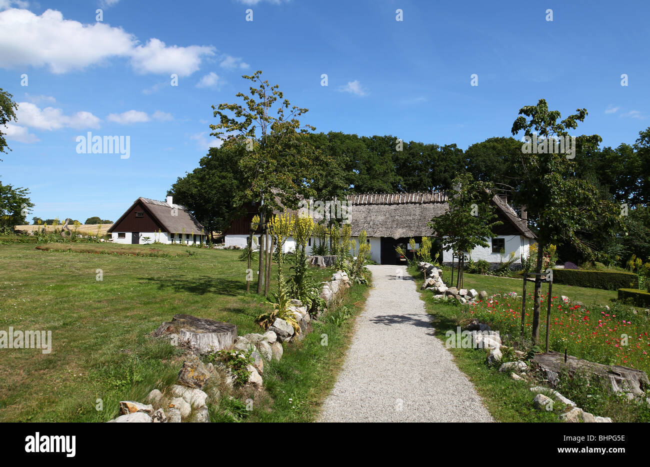 Old farm with roof of straw in skåne sweden Stock Photo