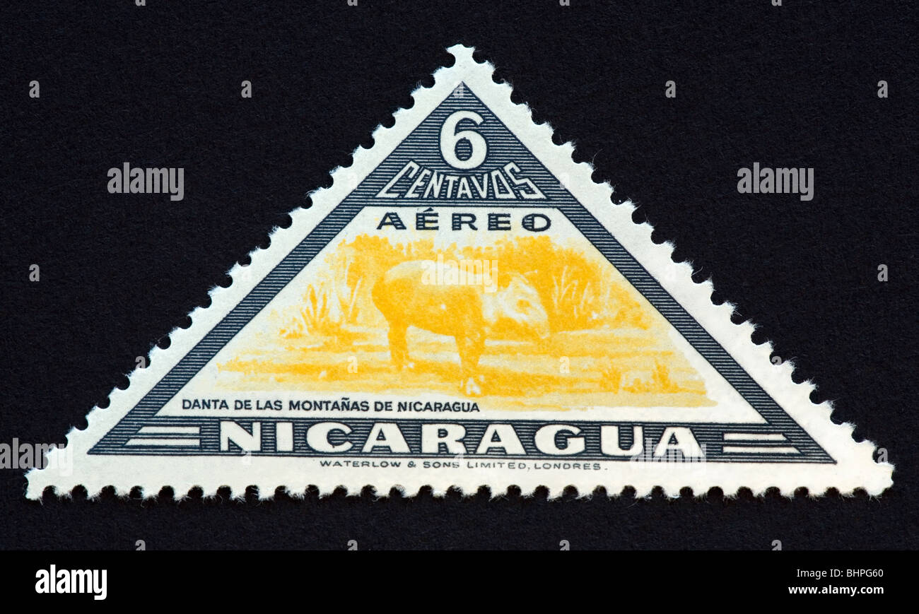 Nicaraguan stamp showing a tapir Stock Photo - Alamy