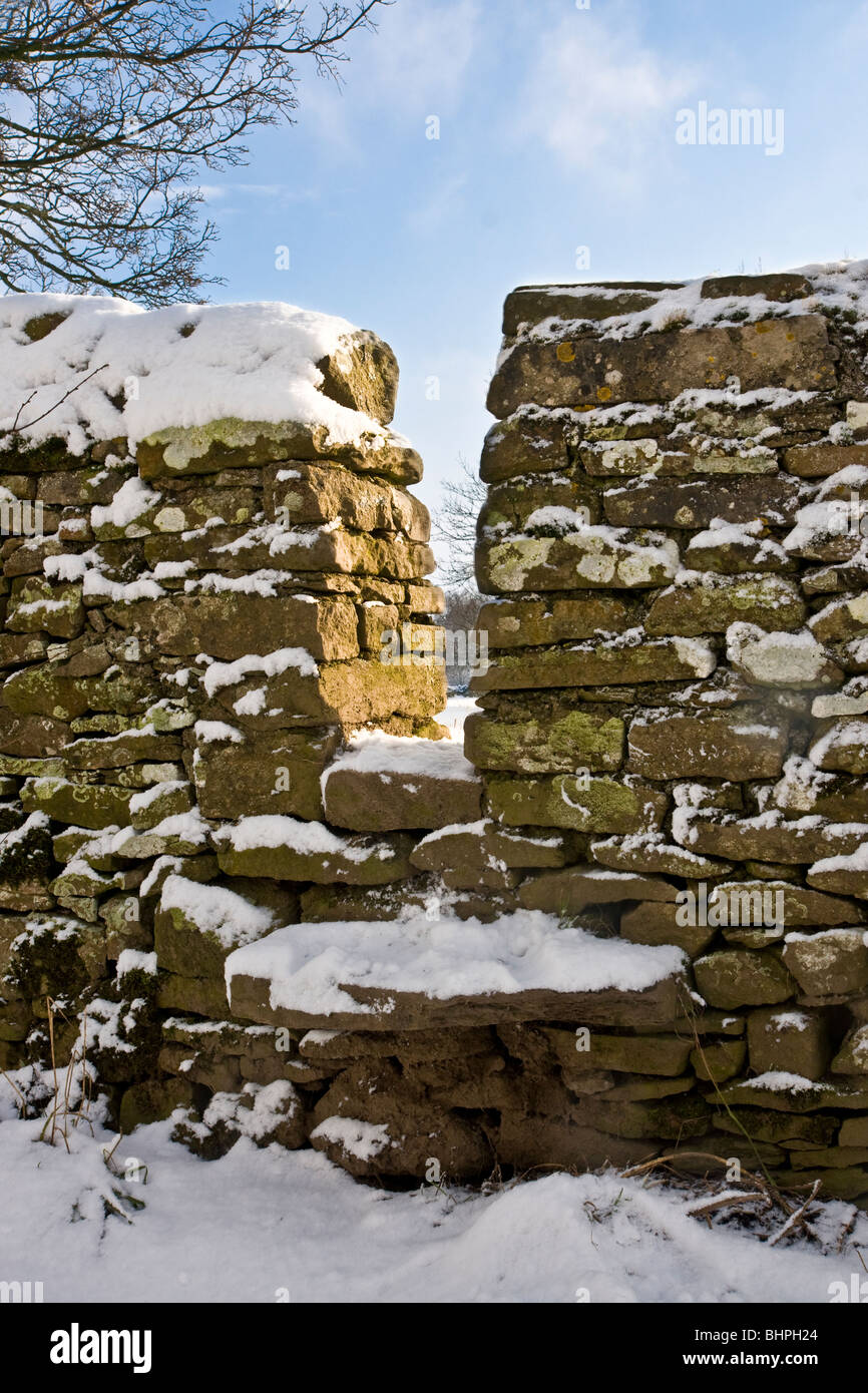 step stile over dry stone wall Stock Photo Alamy