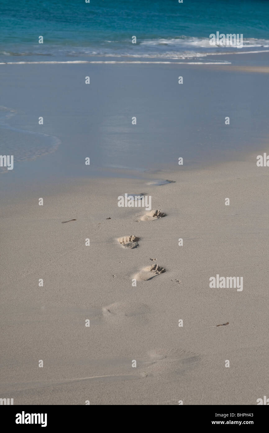 footprints in the beach sand being washed away by the tide Stock Photo