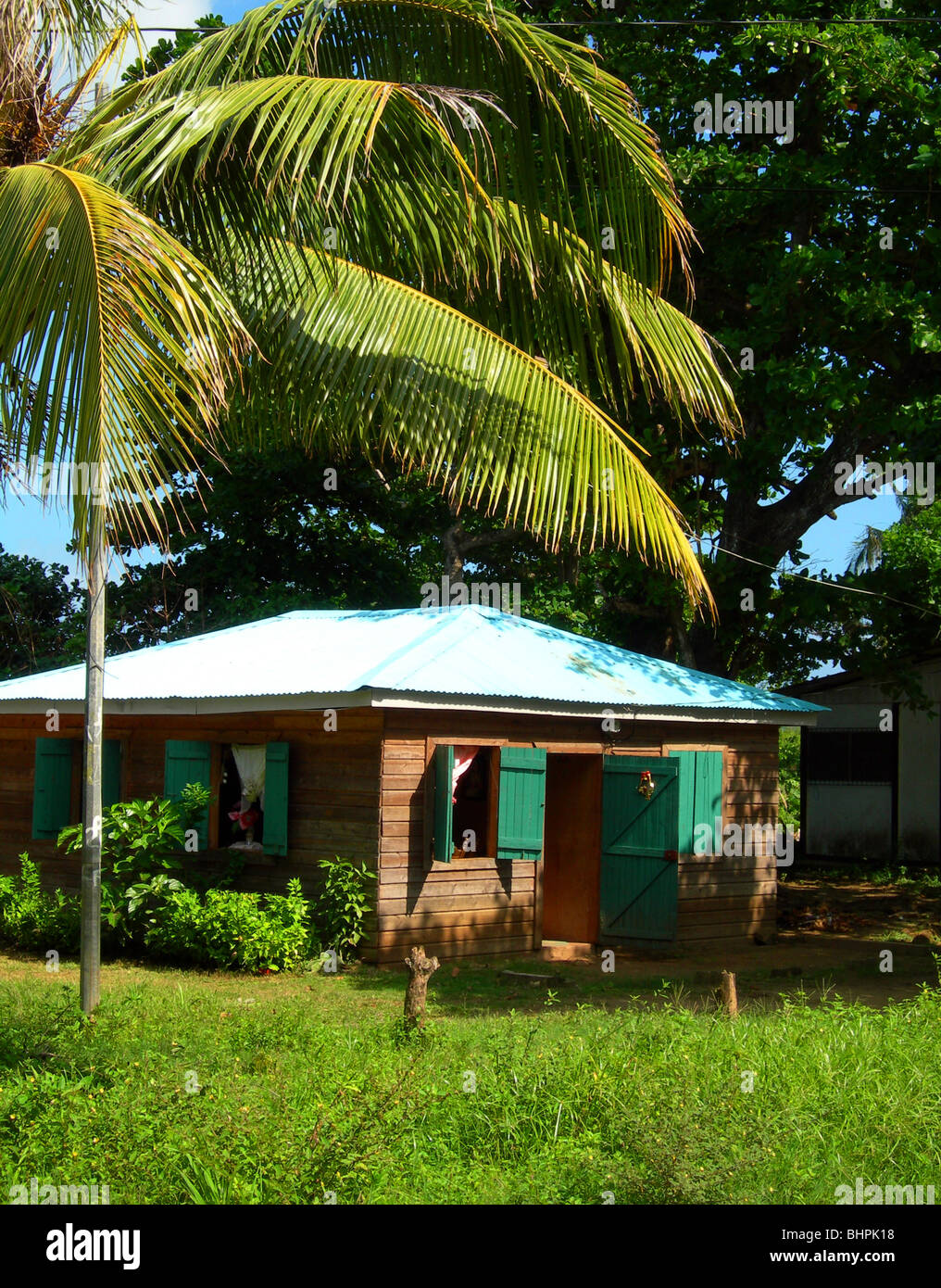 wood construction architecture native house with coconut tree in rural