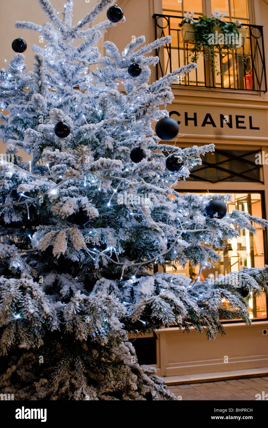 Paris, France, Christmas Lights, Black Tree ornament, Christmas Trees on  Display at 