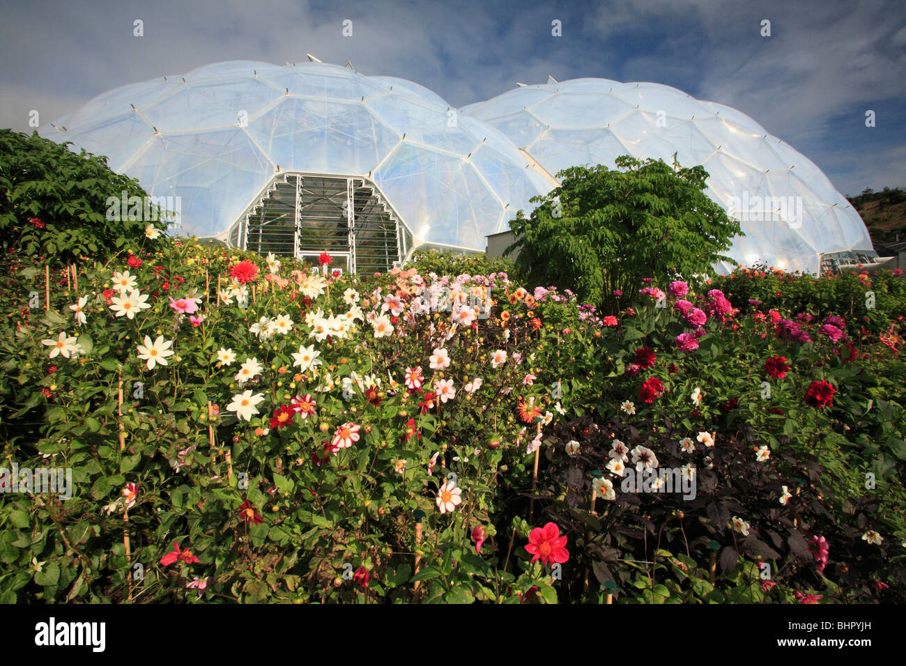 Biomes at the Eden Project, St.Austell, Cornwall, Engand, UK Mediterranean Biome, Eden Project, St. Austell Stock Photo
