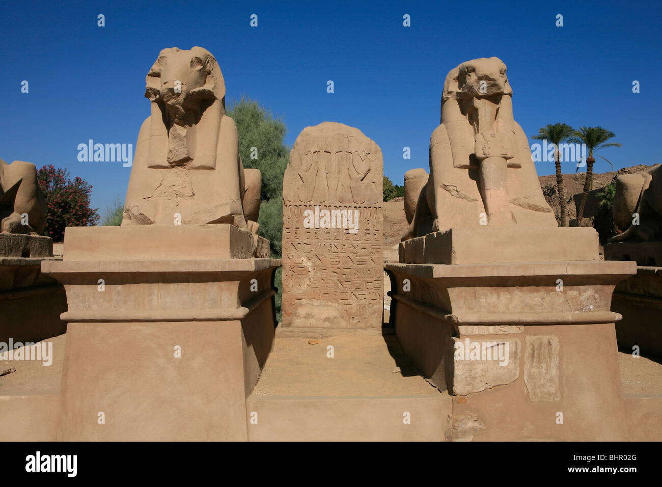 Two ram-headed sphinxes at the main entrance of Karnak Temple in Luxor, Egypt Stock Photo