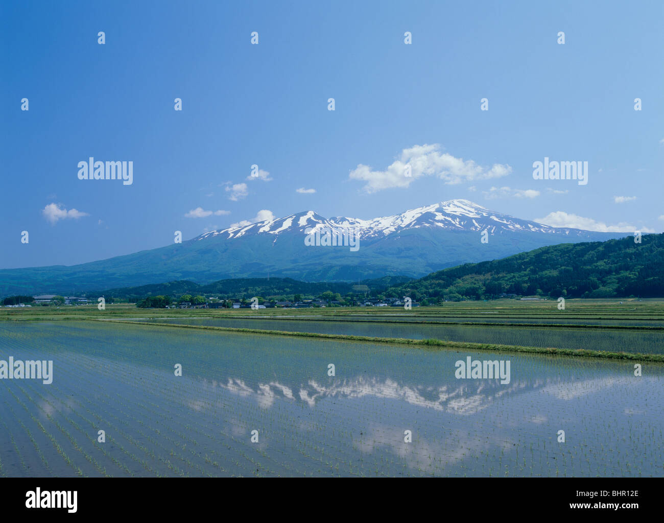 Mount Chokai And Paddy Field Yuza Yamagata Japan Stock Photo Alamy