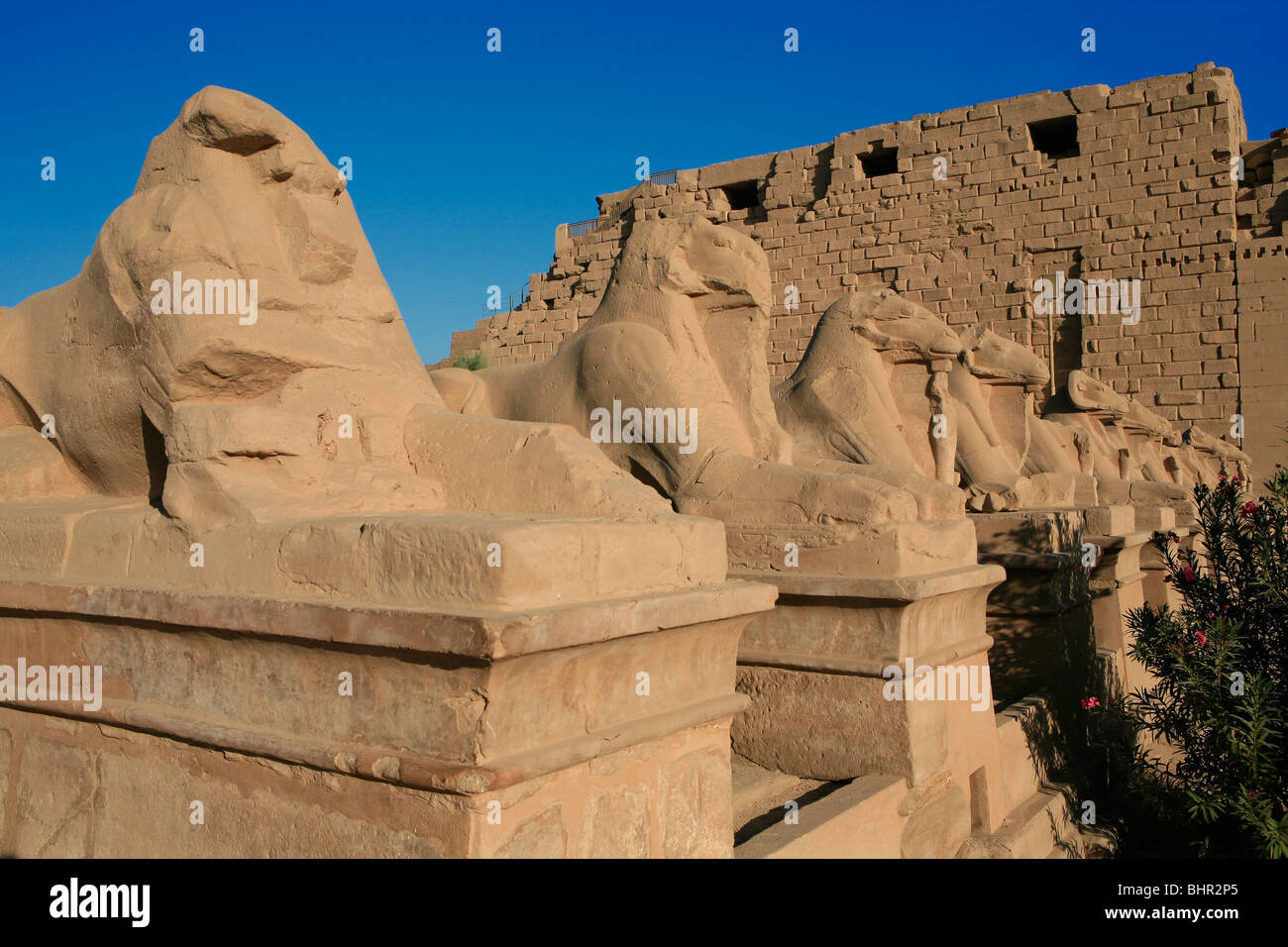 Avenue of ram-headed sphinxes at the main entrance of Karnak Temple in Luxor, Egypt Stock Photo