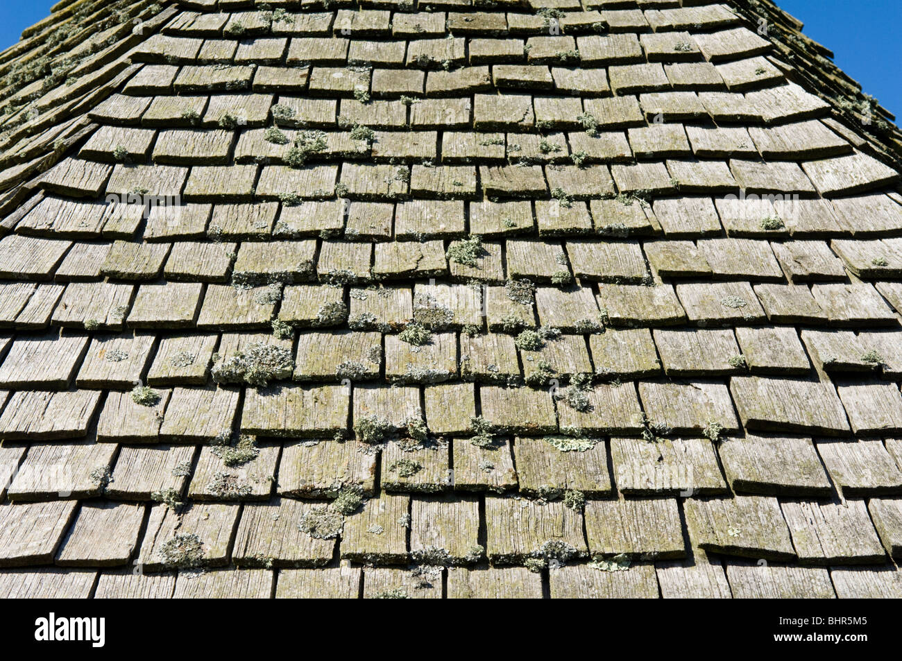 Close up of pine shingles on a moss covered pitched roof including broken and cracked shingle