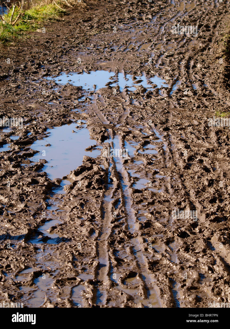 Muddy track hi-res stock photography and images - Alamy