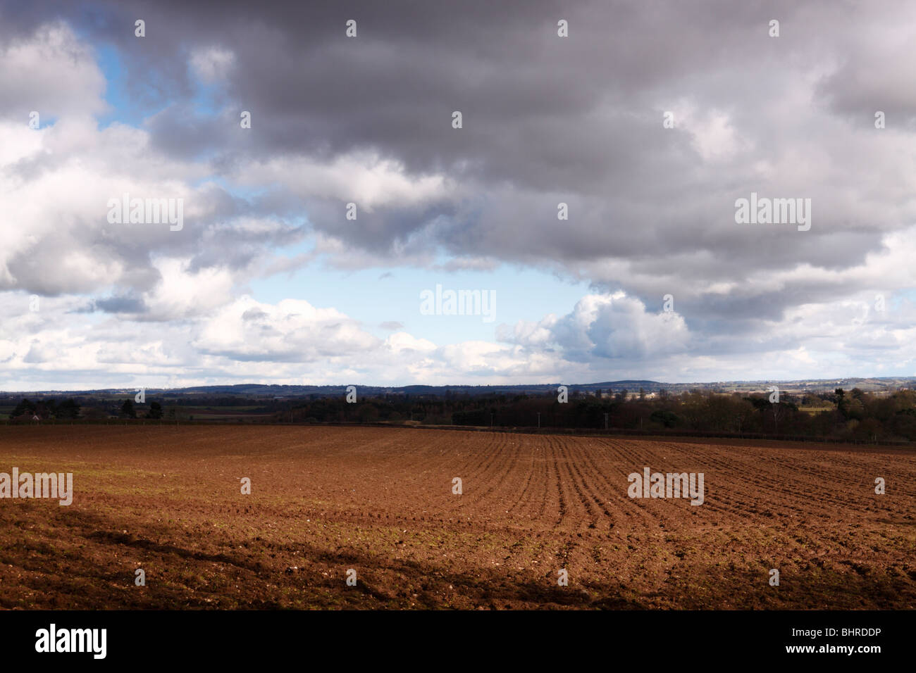 Arable farmland under a cloudy sky near Bridgnorth in Shropshire, UK Stock Photo