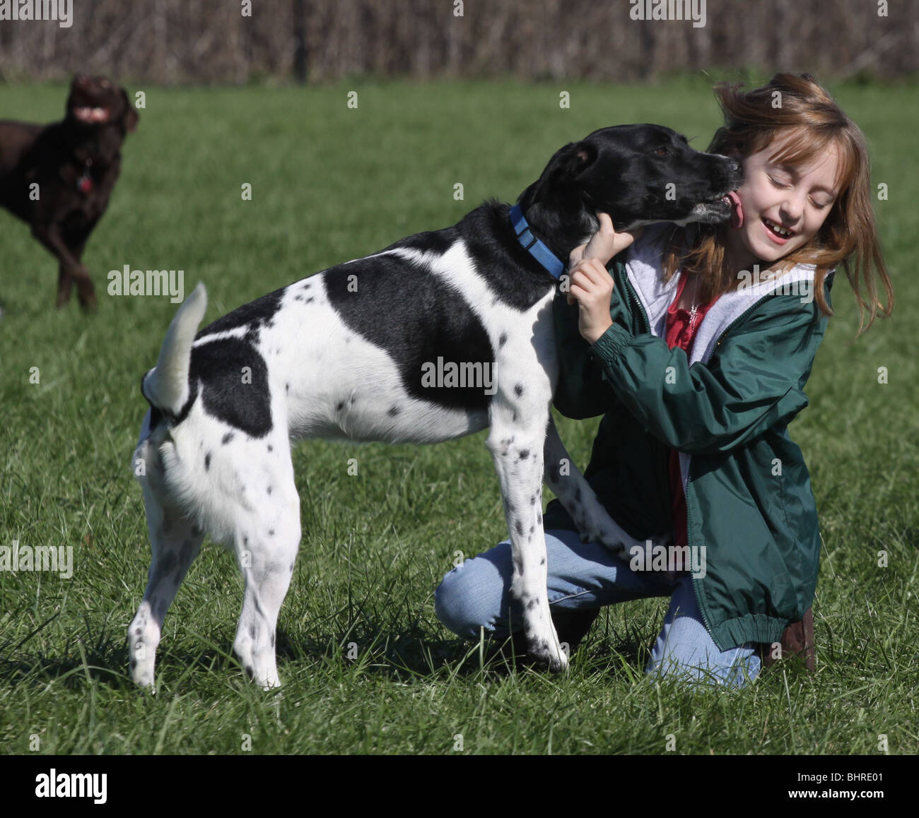 dog licks girl