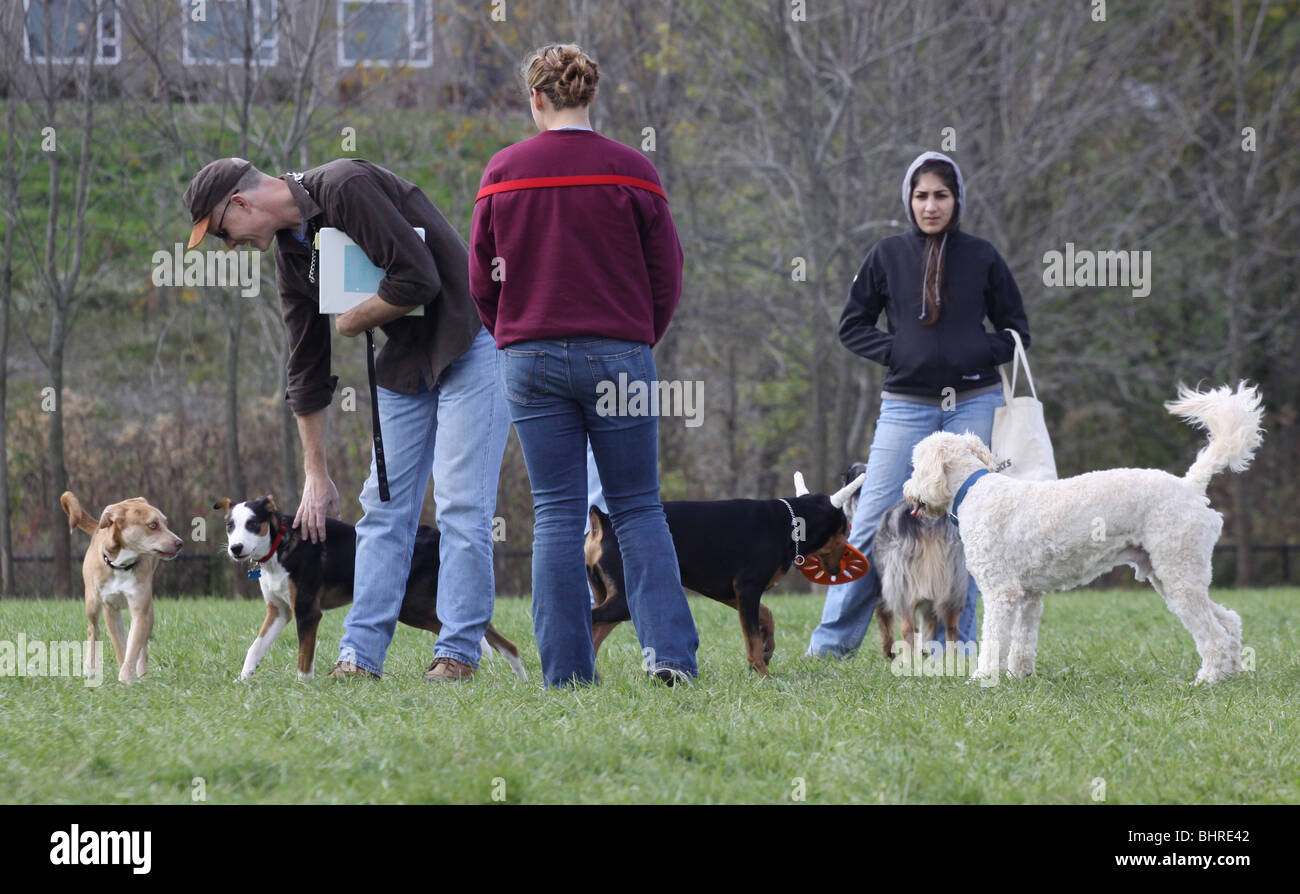 off leash dog park play ohio Stock Photo