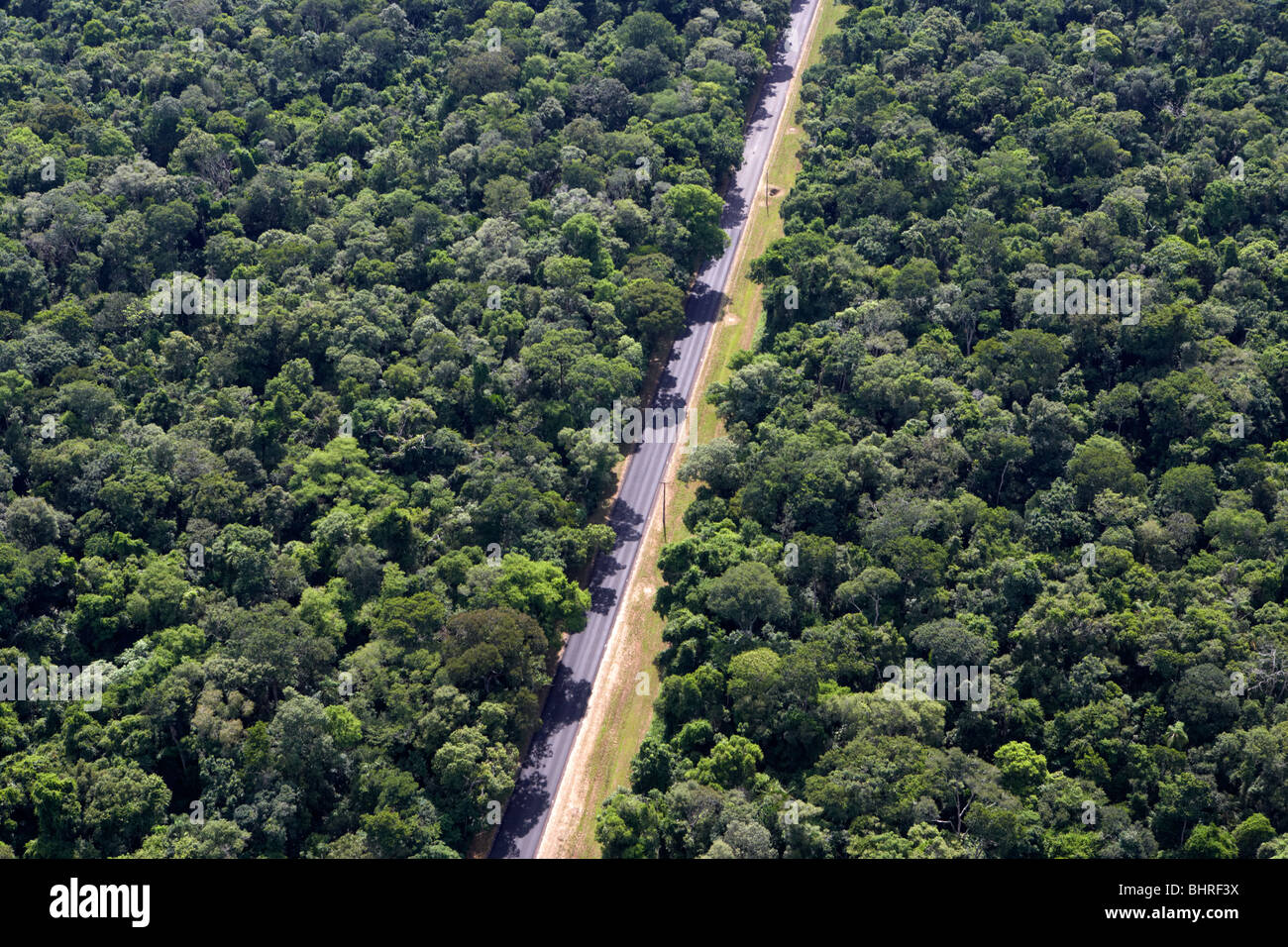road cutting through brazilian sub tropical rain forest iguacu parana brazil south america Stock Photo