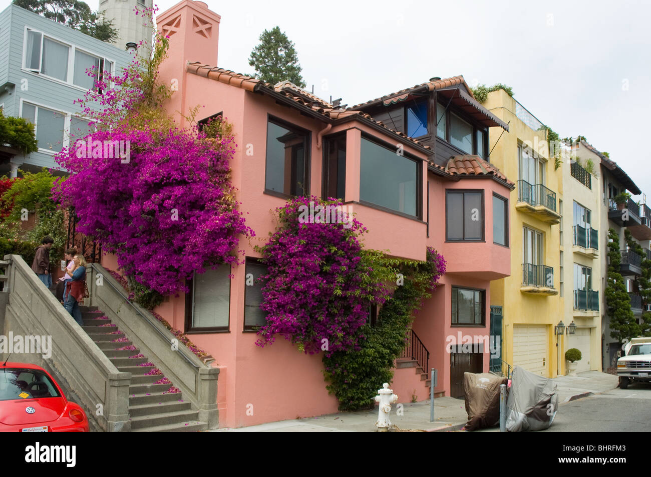 Brightly colored houses on Telegraph Hill, San Francisco, California USA, one covered in