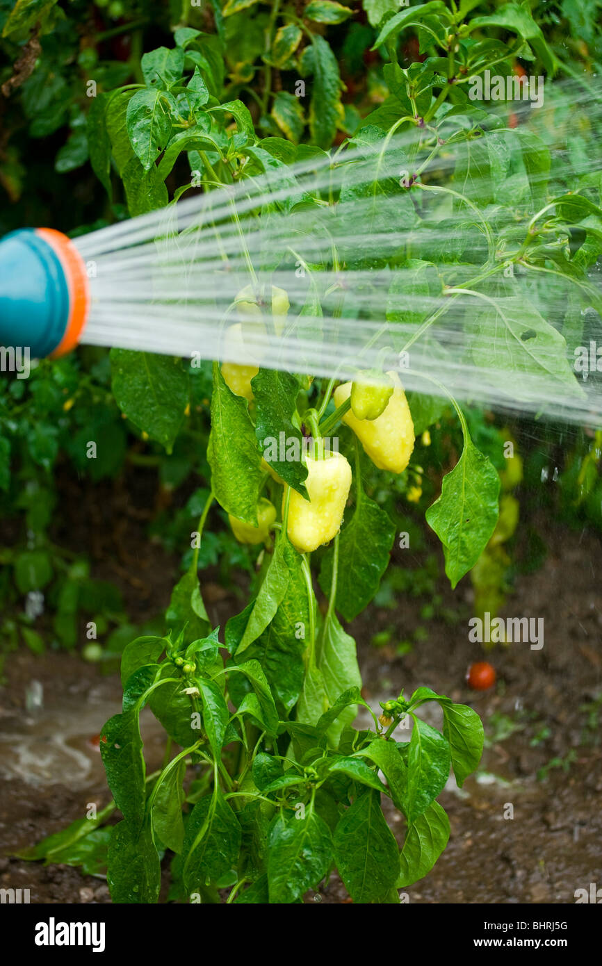 Field being sprayed hires stock photography and images Alamy