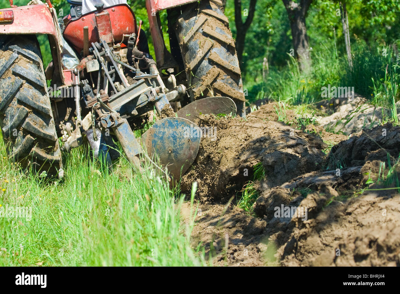 Old farmer plowing between trees in an orchard Stock Photo Alamy