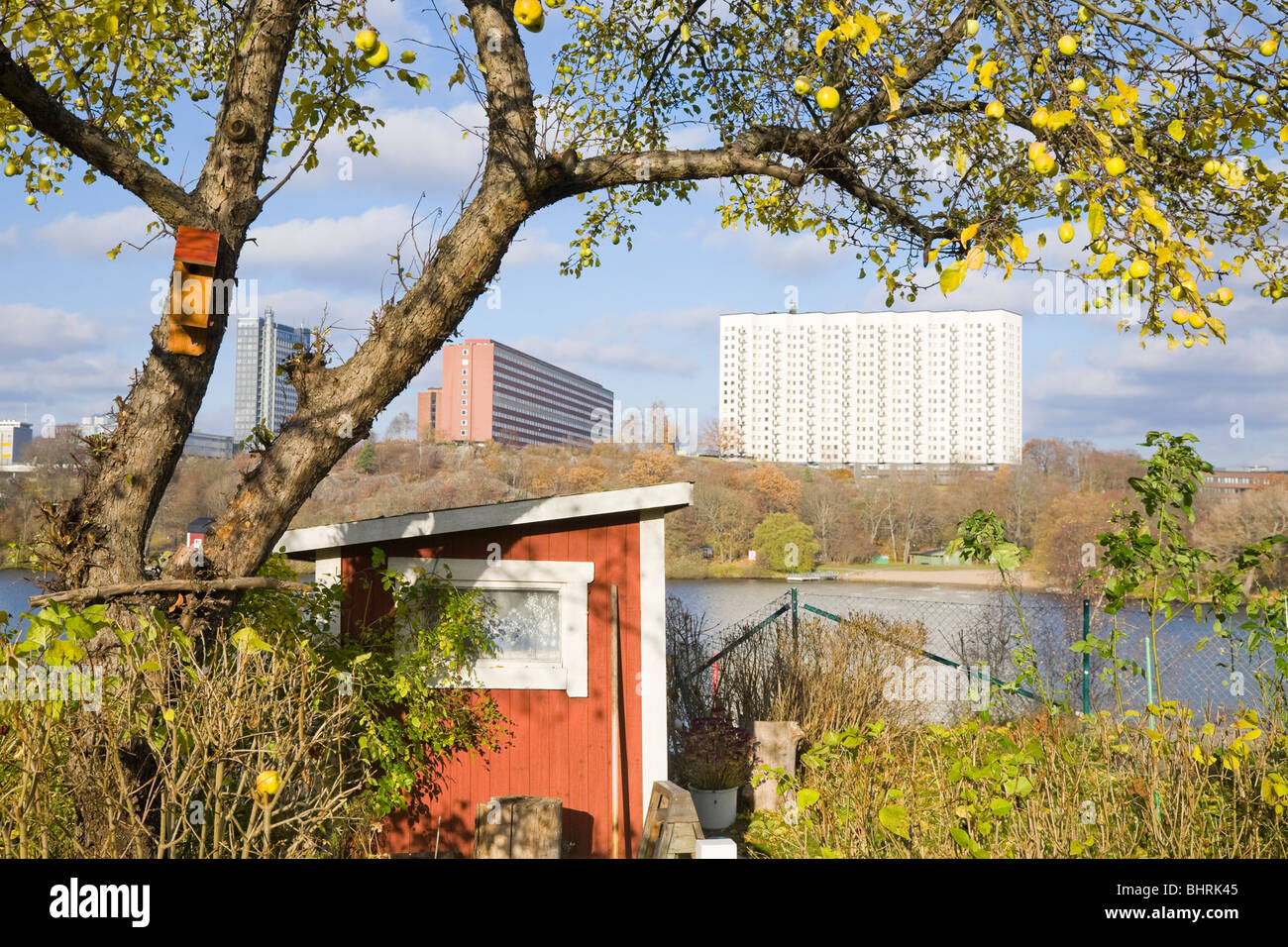 Small garden hut in the park of Langholmen in central Stockholm, Sweden. Stock Photo