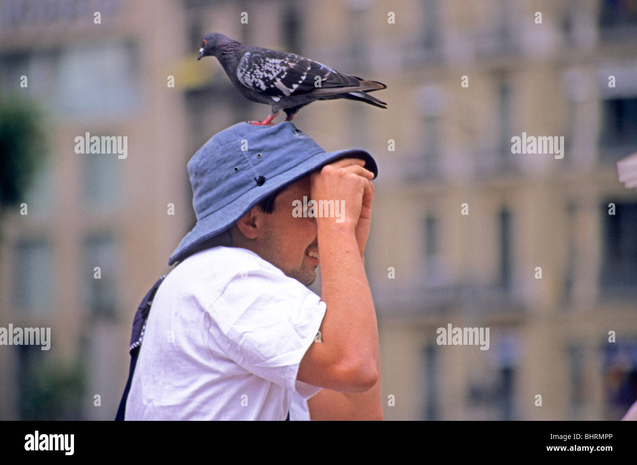 young man with a pigeon on his head, Placa de Catalunya, Barcelona, Spain Stock Photo